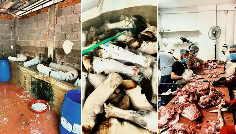 Adana'da Şok Eden Görüntüler: Yüzlerce Kilo Paça Ele Geçirildi!