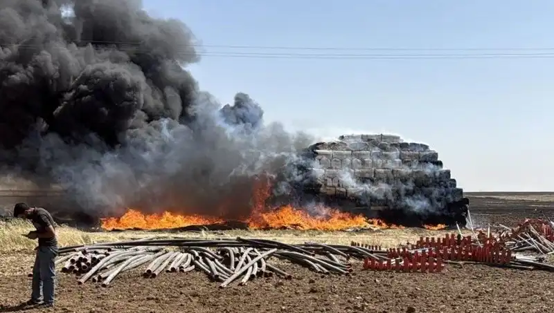 Mardin'de Anız Yangını: Tarım Arazileri Kül Oldu, Yangınla Mücadele Sürüyor