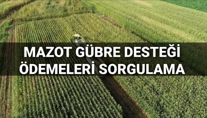Tarım Destek Ödemeleri Mart 2025’te Yatacak: Mazot ve Gübre Desteği Ne Zaman?