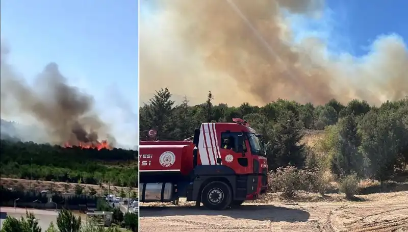 Gebze'de Korkutan Orman Yangını: Nedenleri ve Sonrası