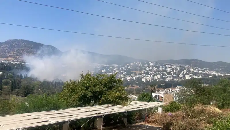 Muğla Orman Yangınları Kontrol Altında: Son Durum ve Tedbirler