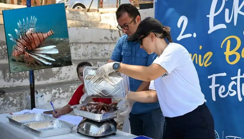 Antalya'da İstilacı Aslan Balığı Avlama Yarışması: Bölge Denizlerini Kurtarma Mücadelesi