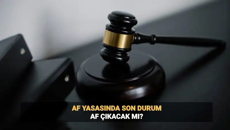 2025'te Genel Af Beklentileri: Umut Hakkı mı, İnfaz Düzenlemesi mi?